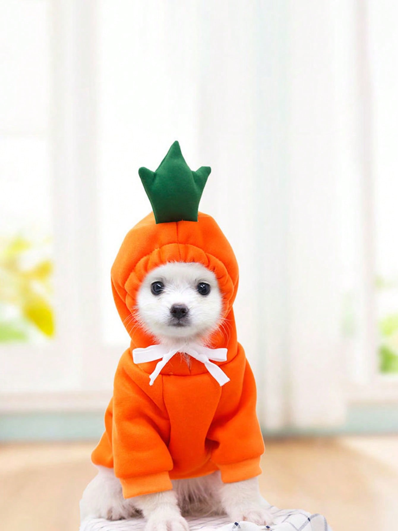 1Pc Carrot/Juicy Fruit Print Sweatshirt Fleece Clothes for Small-Medium Dogs and Cats, Autumn & Winter Clothes