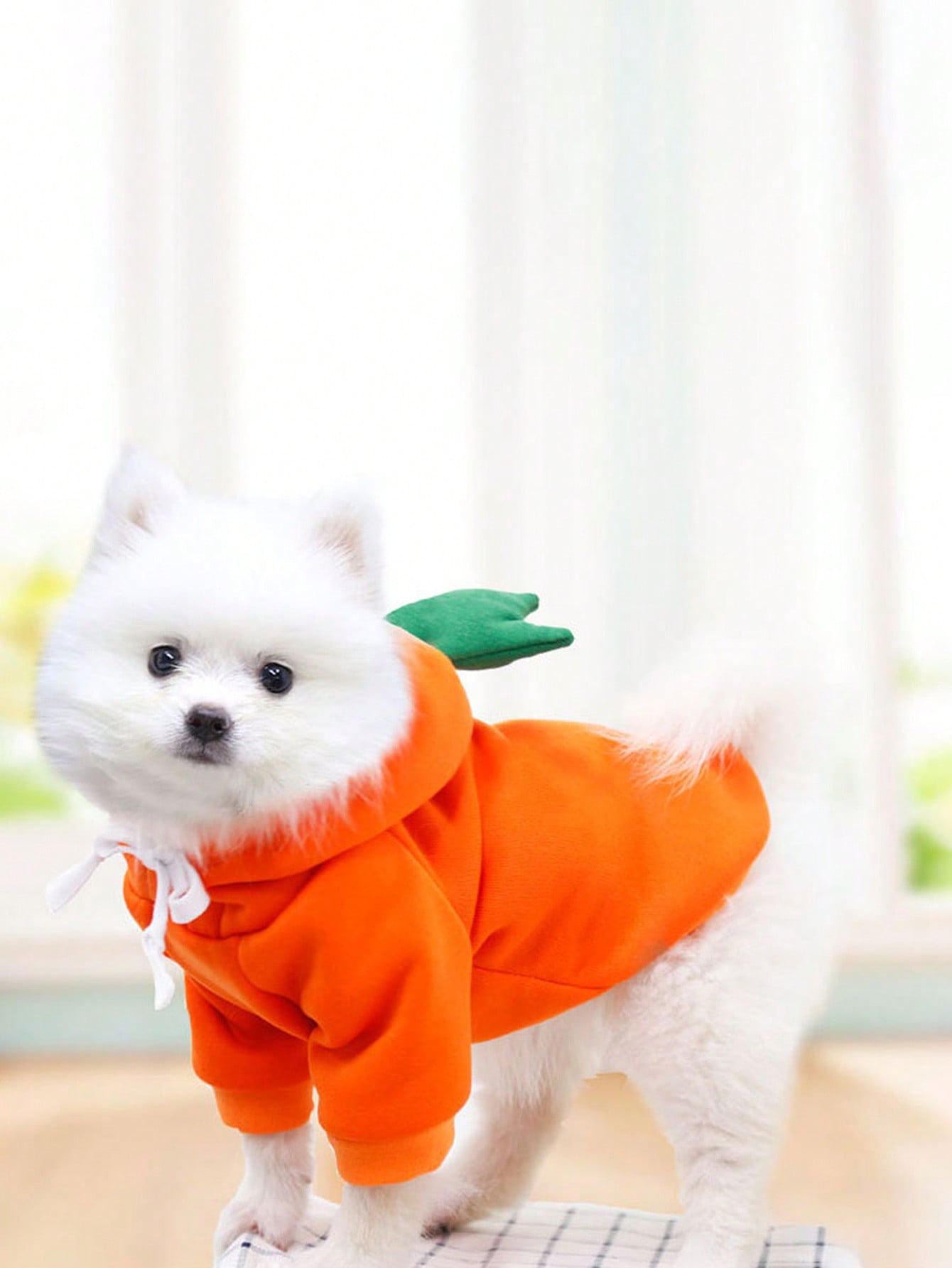 1Pc Carrot/Juicy Fruit Print Sweatshirt Fleece Clothes for Small-Medium Dogs and Cats, Autumn & Winter Clothes